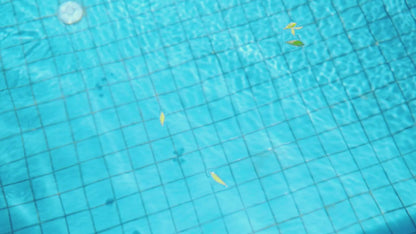 Aqua Rover SAT 20 Pro - Cordless Robotic Pool Cleaner